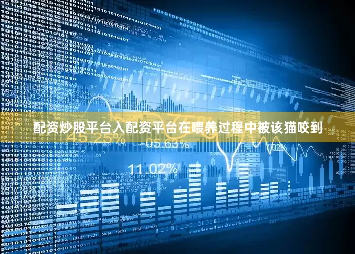配资炒股平台入配资平台在喂养过程中被该猫咬到