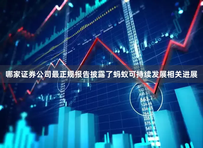 哪家证券公司最正规报告披露了蚂蚁可持续发展相关进展