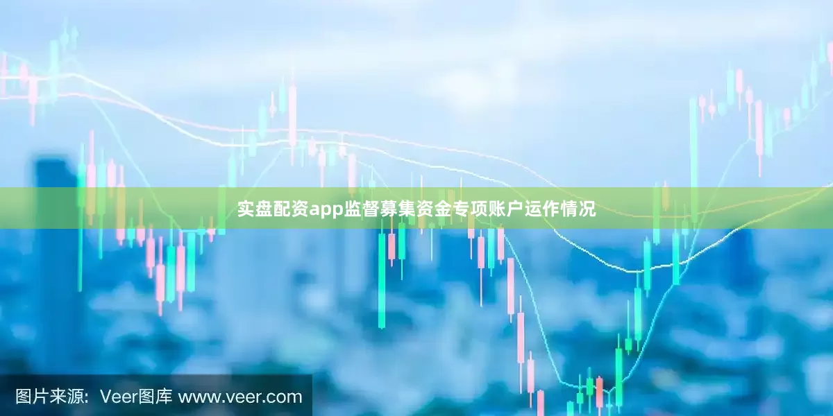 实盘配资app监督募集资金专项账户运作情况