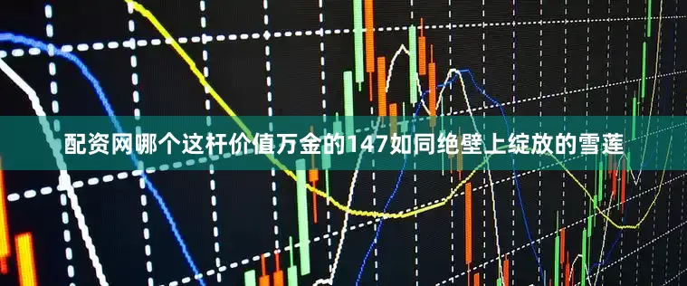 配资网哪个这杆价值万金的147如同绝壁上绽放的雪莲