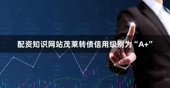 配资知识网站茂莱转债信用级别为“A+”